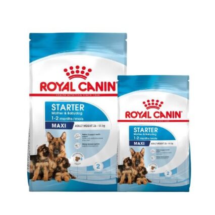 Royal Canin Maxi Starter Mother & Babydog