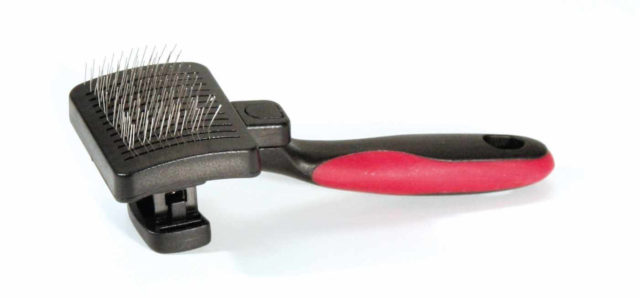 CROCI PETITE BROSSE AUTONETTOYANTE POUR CHIENS ET CHATS