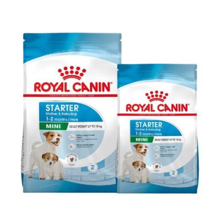 Royal Canin Mini Starter Mother and Babydog