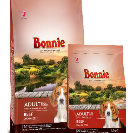 croquettes chat adulte bœuf