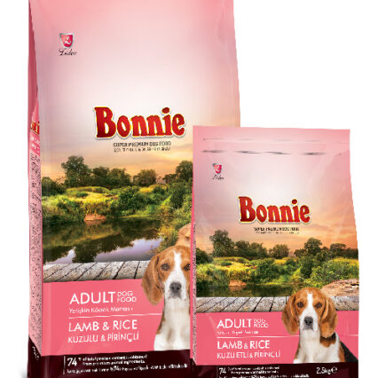 Croquettes chien agneau riz