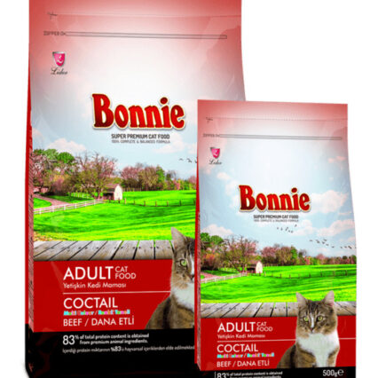 croquettes chat adulte bœuf