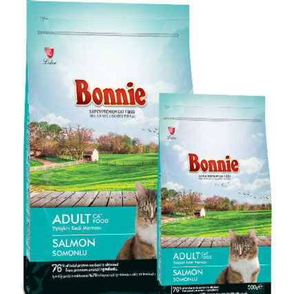 Croquette Chat Saumon